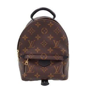 Louis Vuitton Monogram Palm Springs Backpack